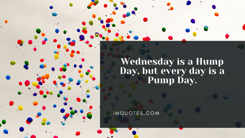 Happy Hump Day Quotes