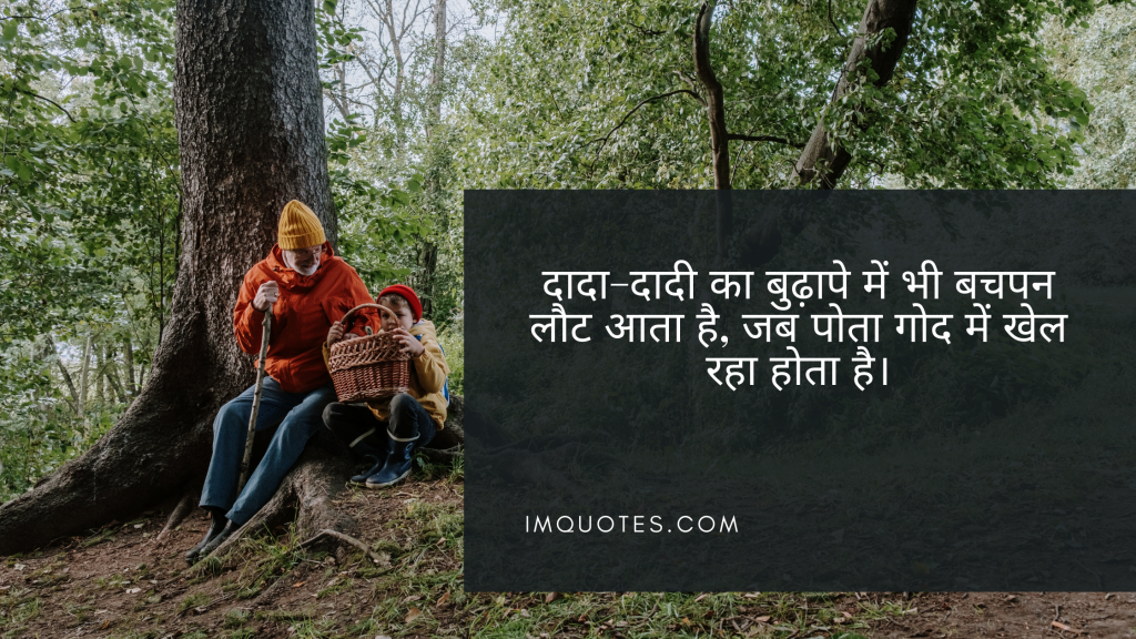 Interesting Grandfather Quotes in Hindi 3