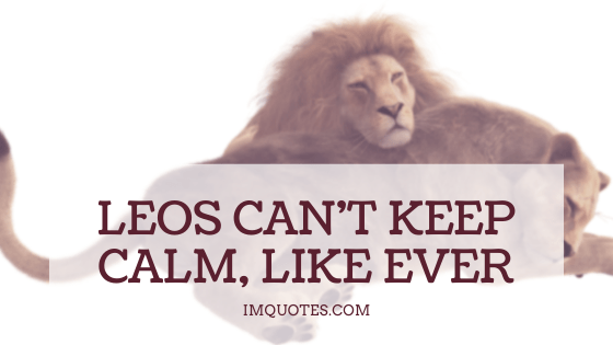 Some Funny Leo Quotes To Make Get Them Laughing