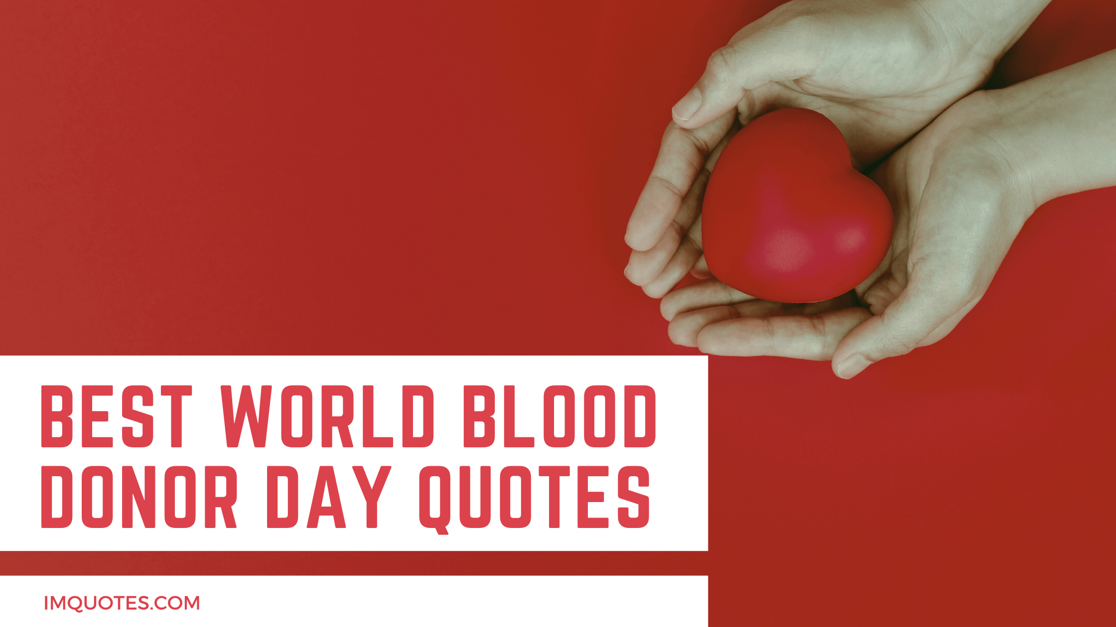 Best World Blood Donor Day Quotes