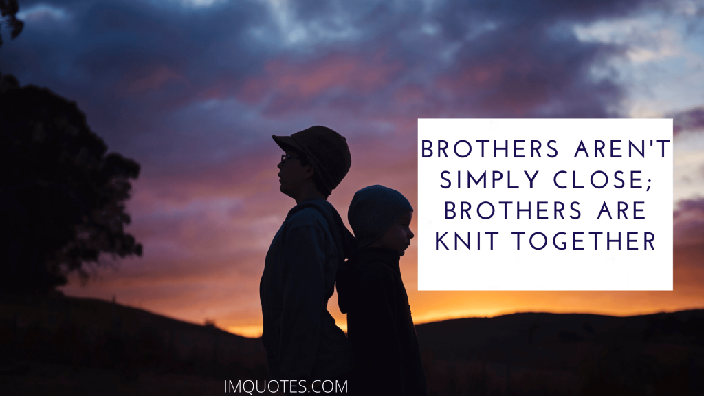 Brother Quotes To Appreciate The Bond1