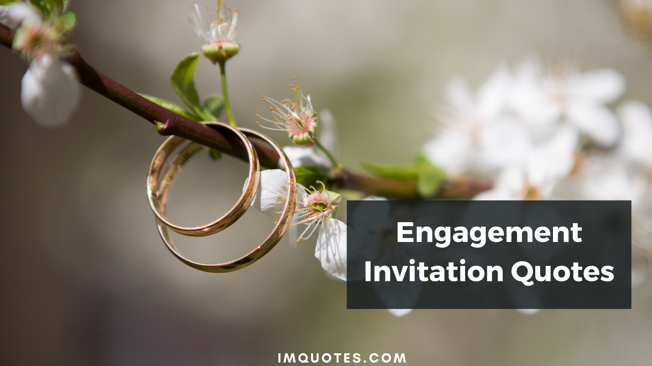 Engagement Invitation Quotes1