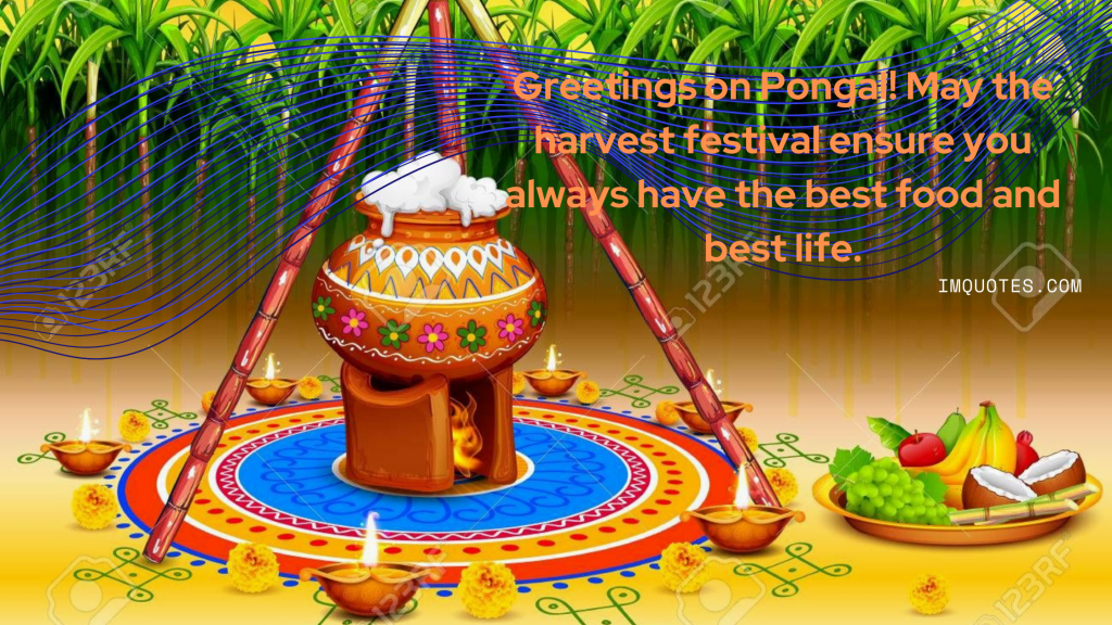Happy Pongal Greeting Quotes