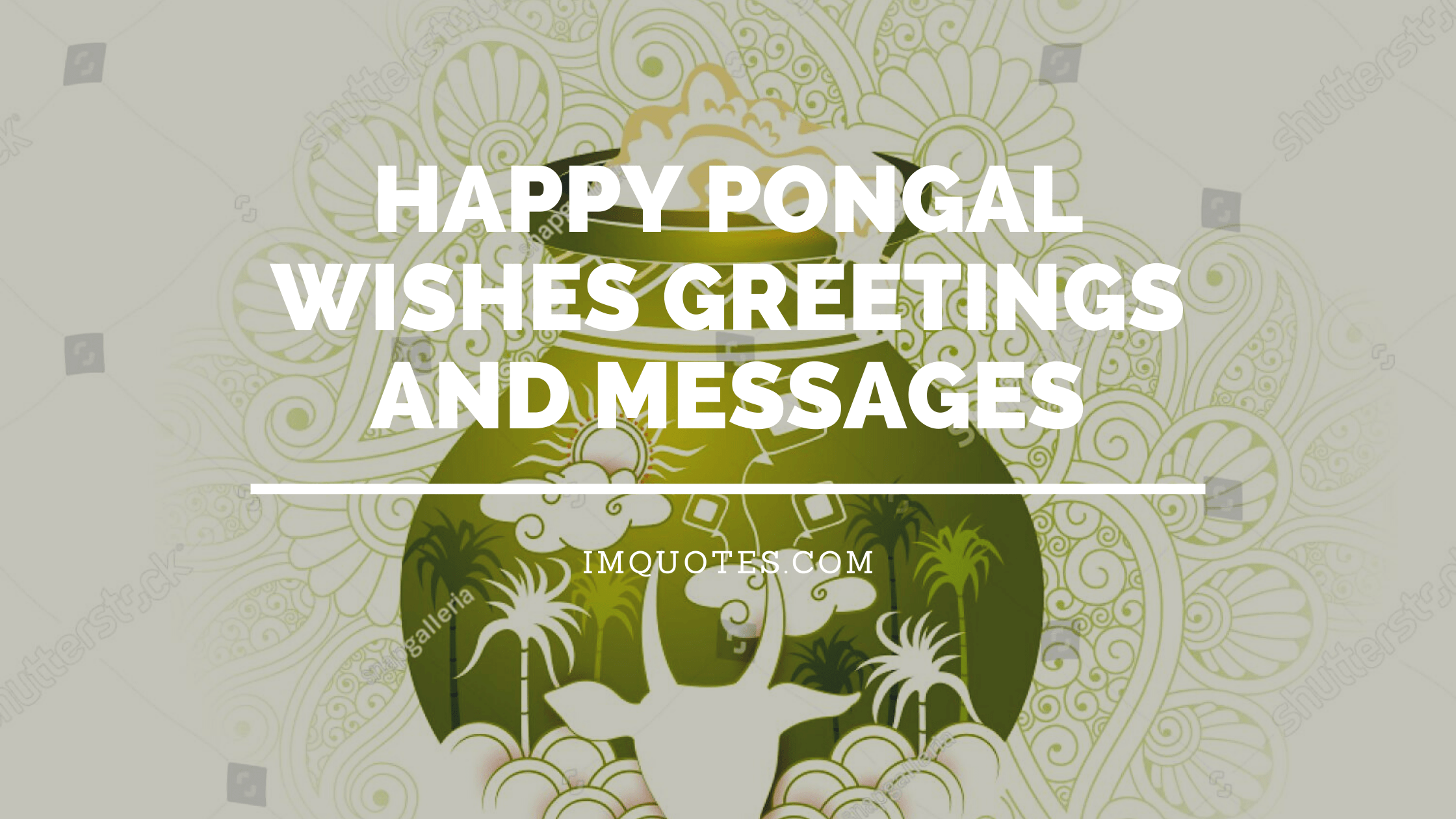 Happy Pongal Wishes Greetings And Messages
