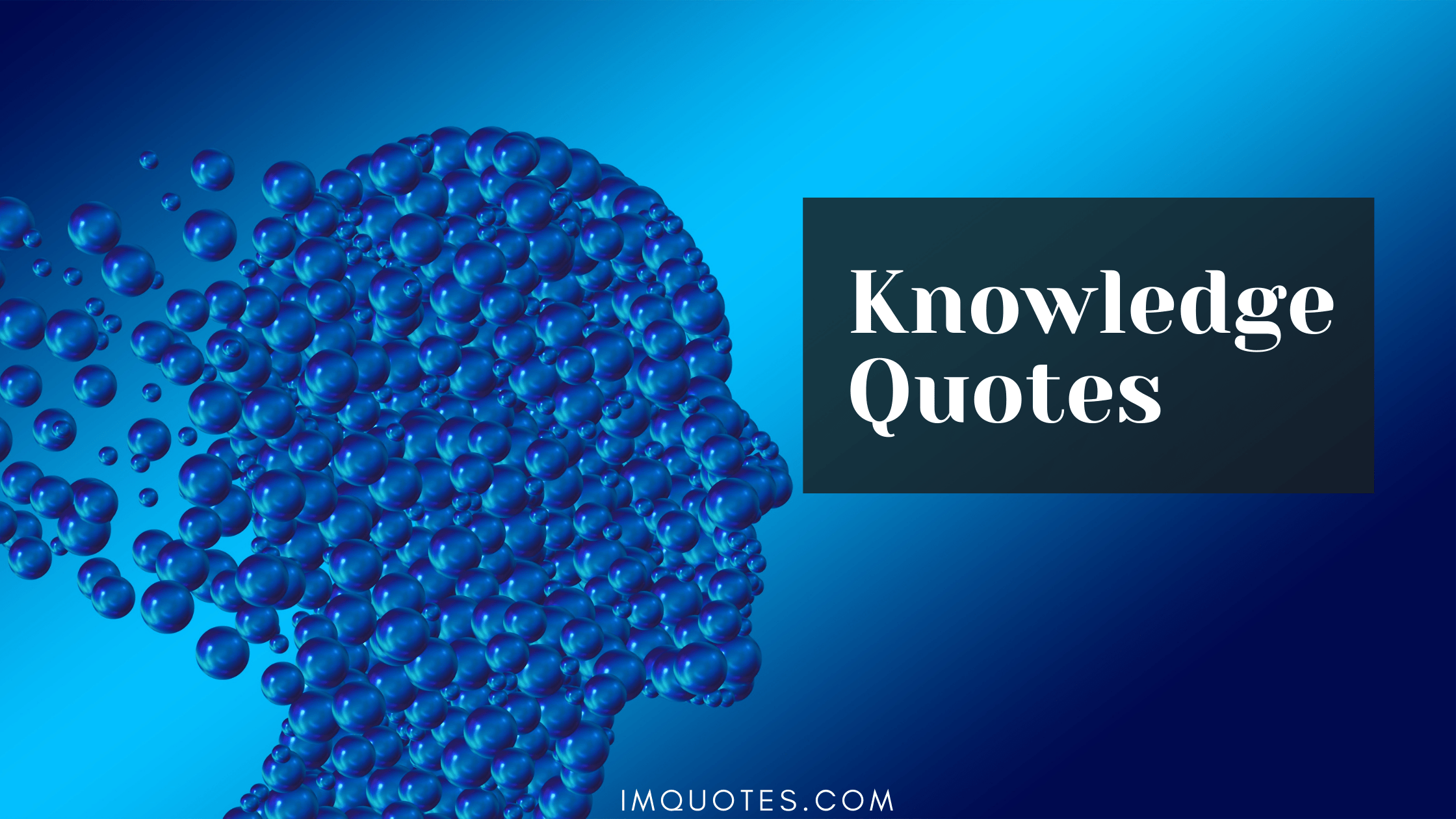 Knowledge Quotes1