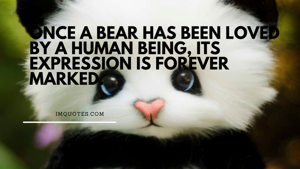 Lovely Quotes For Teddy Lovers