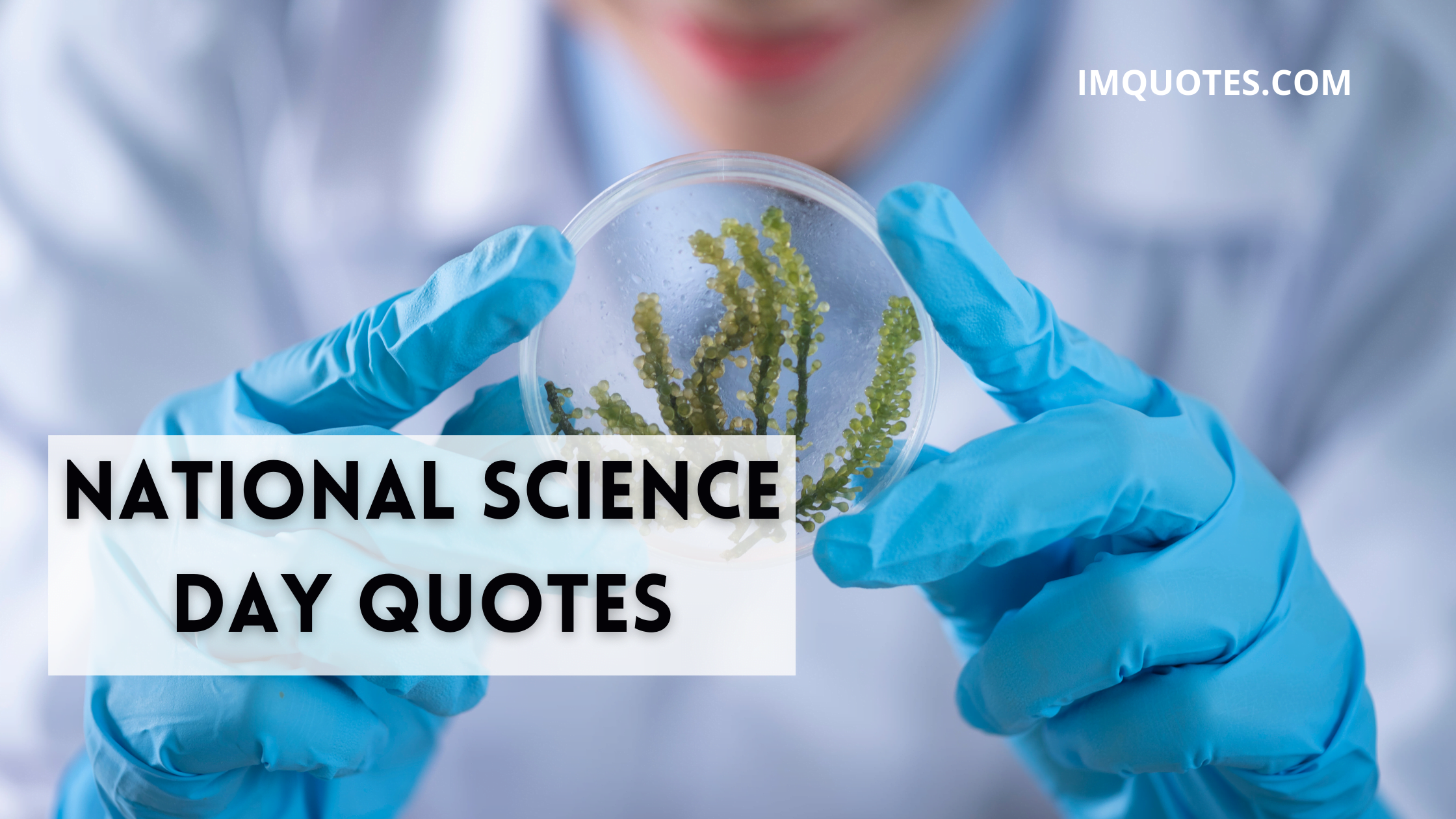 National Science Day Quotes1