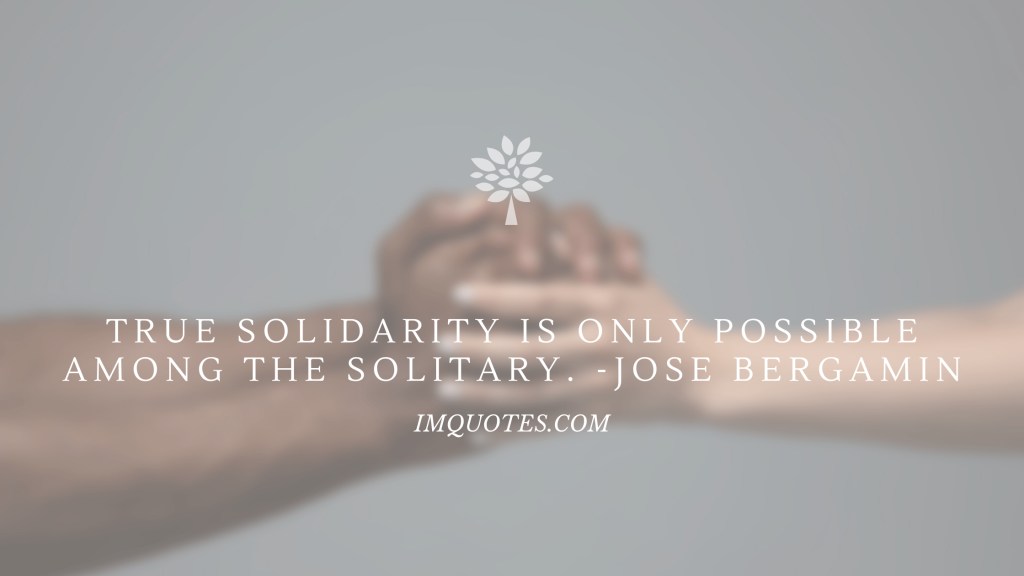 Wonderful Solidarity and Unity Quotes