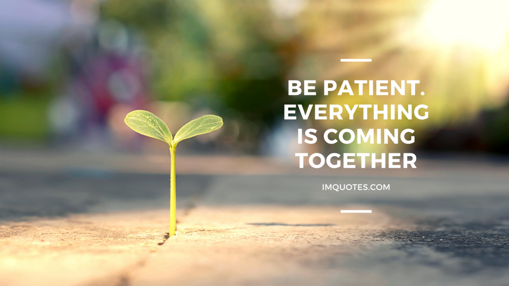 Inspiring Patience Quotes
