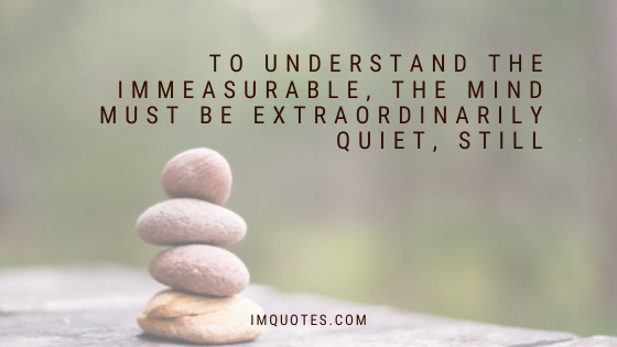 Peaceful Quotes For Meditation