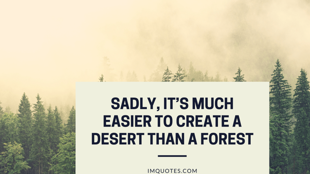 Quotes About Conservation Of The Forest