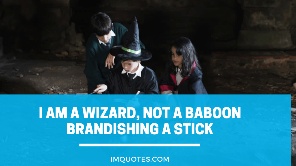 Some Of The Funniest Harry Potter Quotes