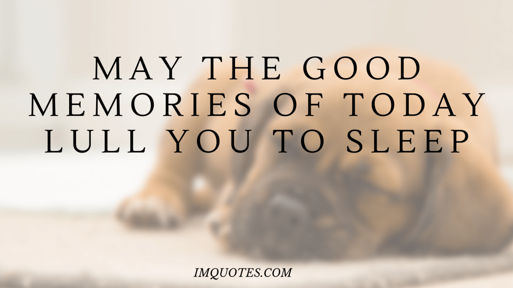 Sweet Goodnight Quotes For A Sweet Sleep