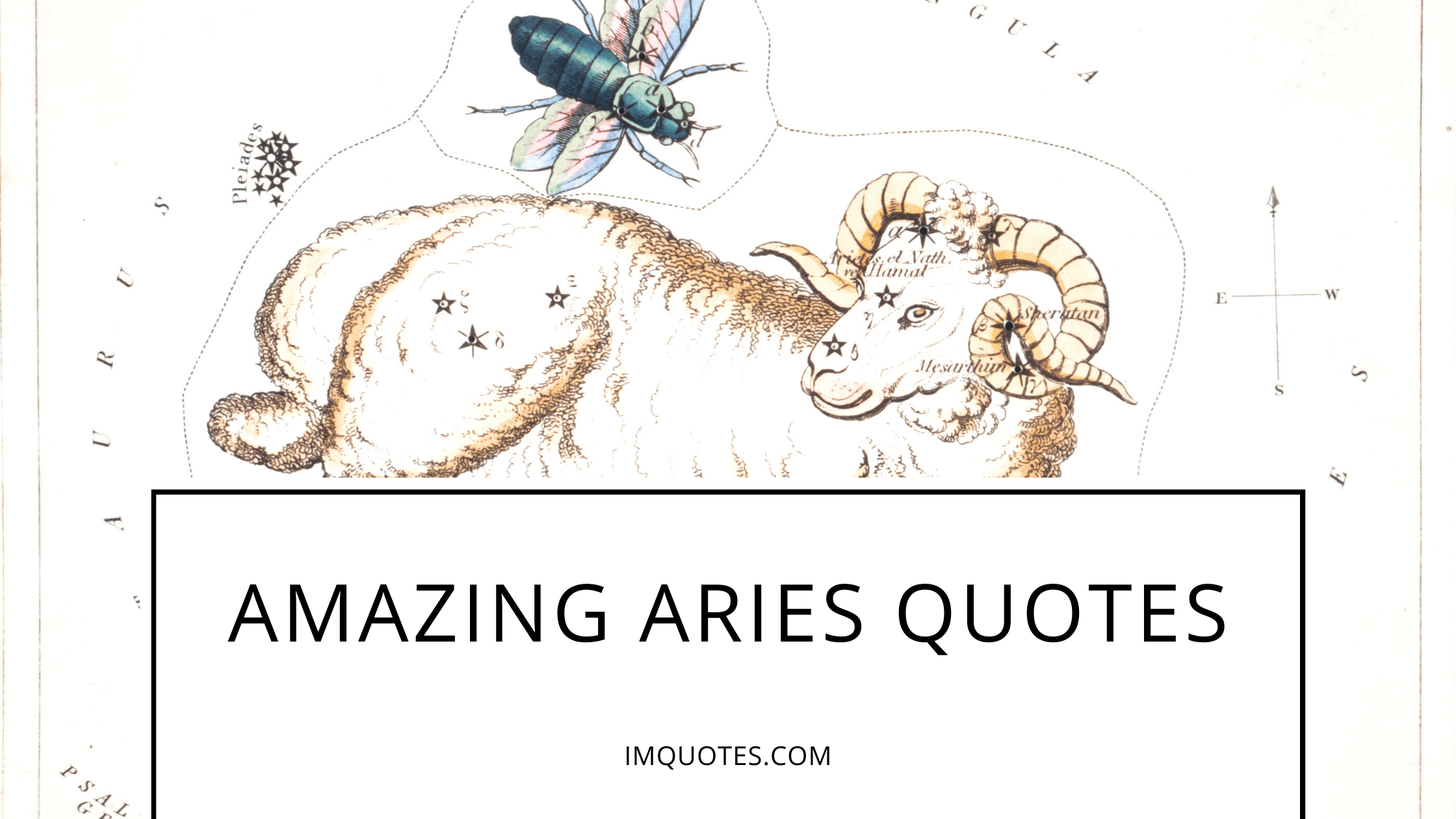 Amazing Aries Quotes