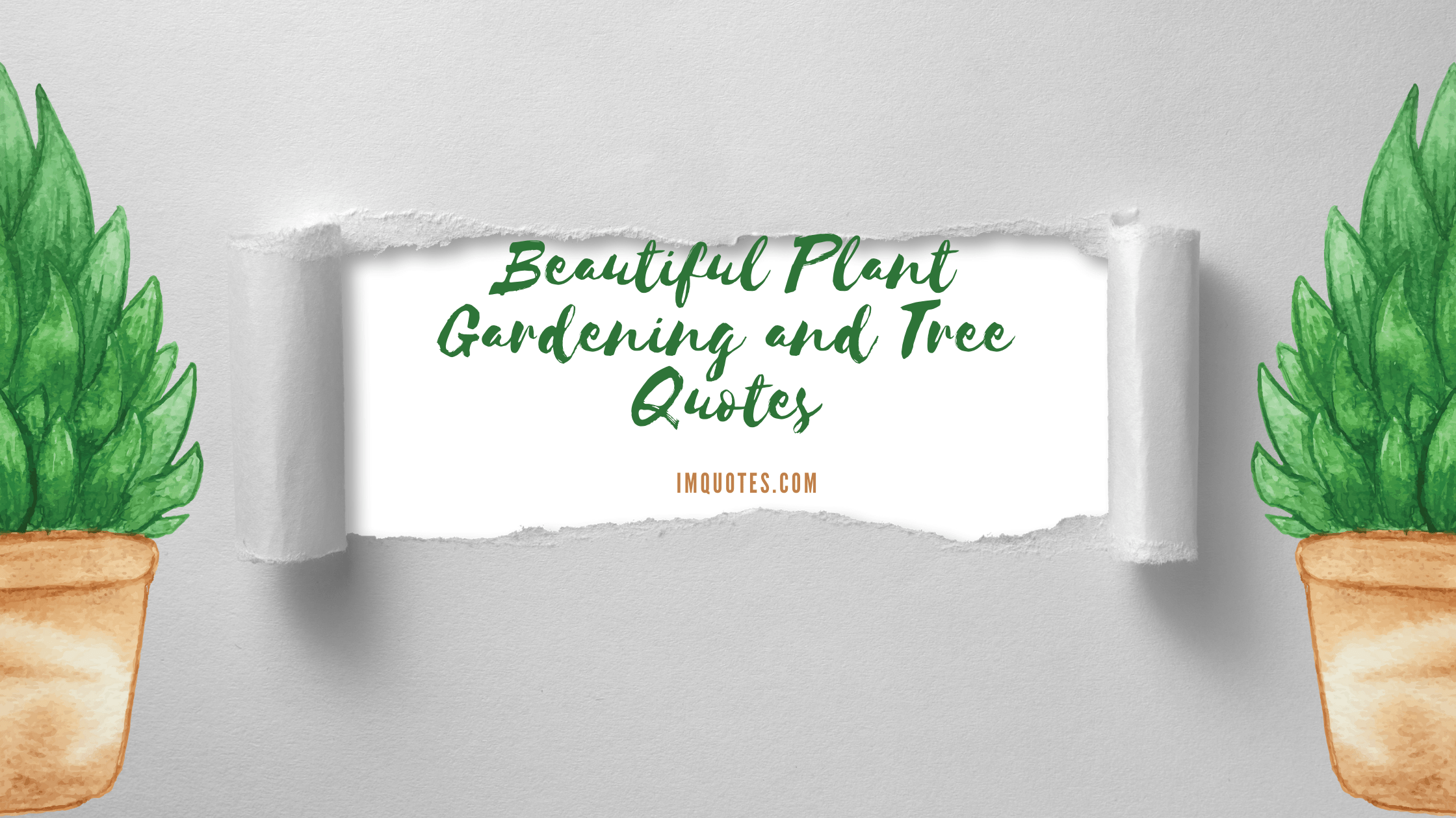 Beautiful Plant Gardening and Tree Quotes