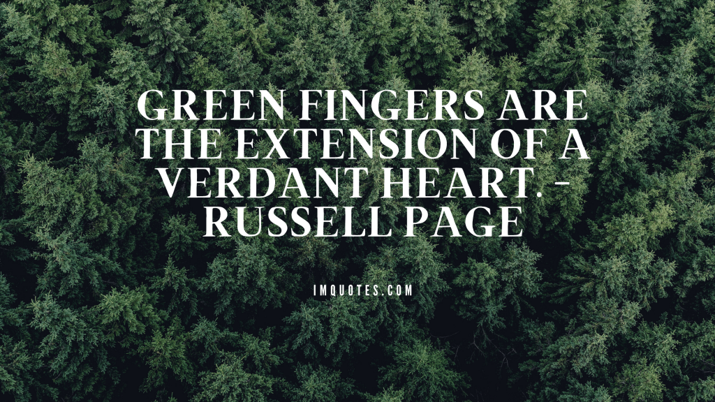 Short Greenery Quotes